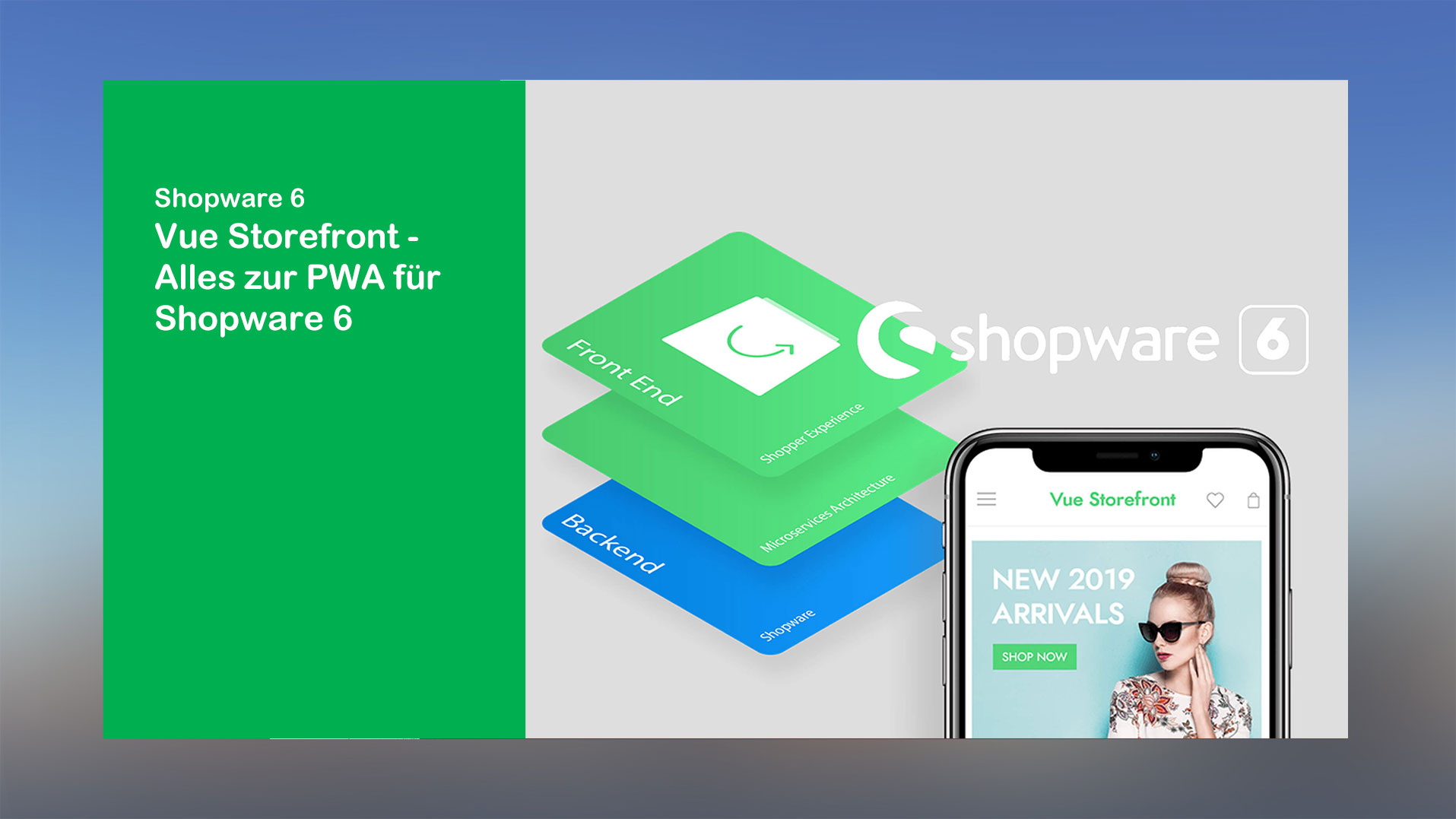 webfellows-erklärt_Vue-Storefront-die-PWA-für-Shopware-6